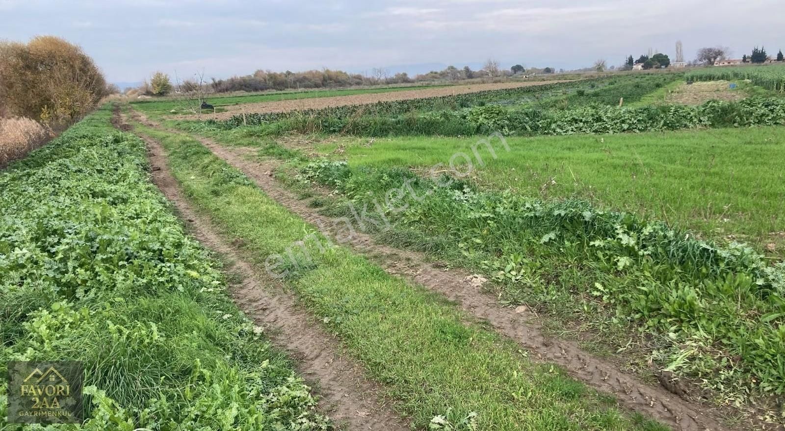 Sindel Mah.bakırçay Kenarı Tarla - Görsel 18