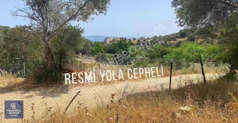 Eğlenhoca Köyü 1.033 M2 Satılık Tarla - Görsel 10