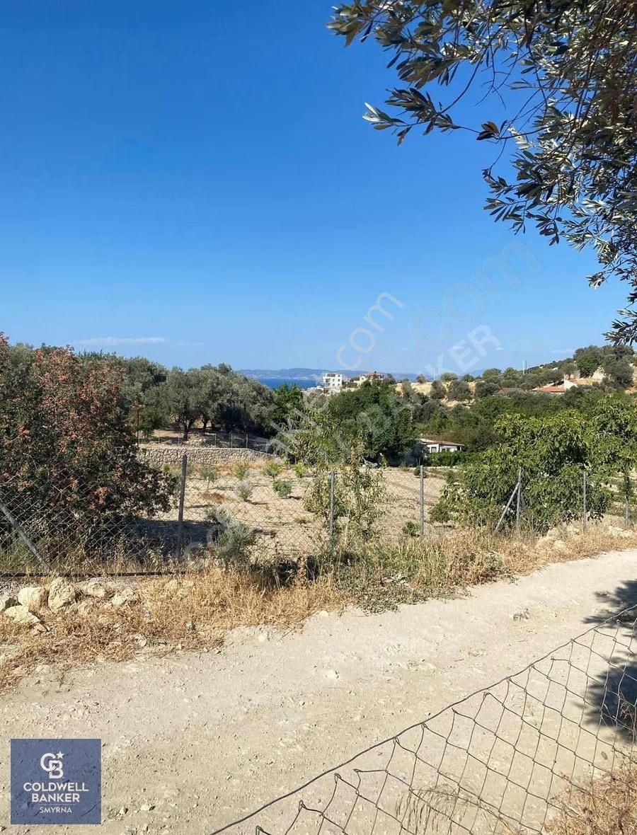 Eğlenhoca Köyü 1.033 M2 Satılık Tarla - Görsel 2