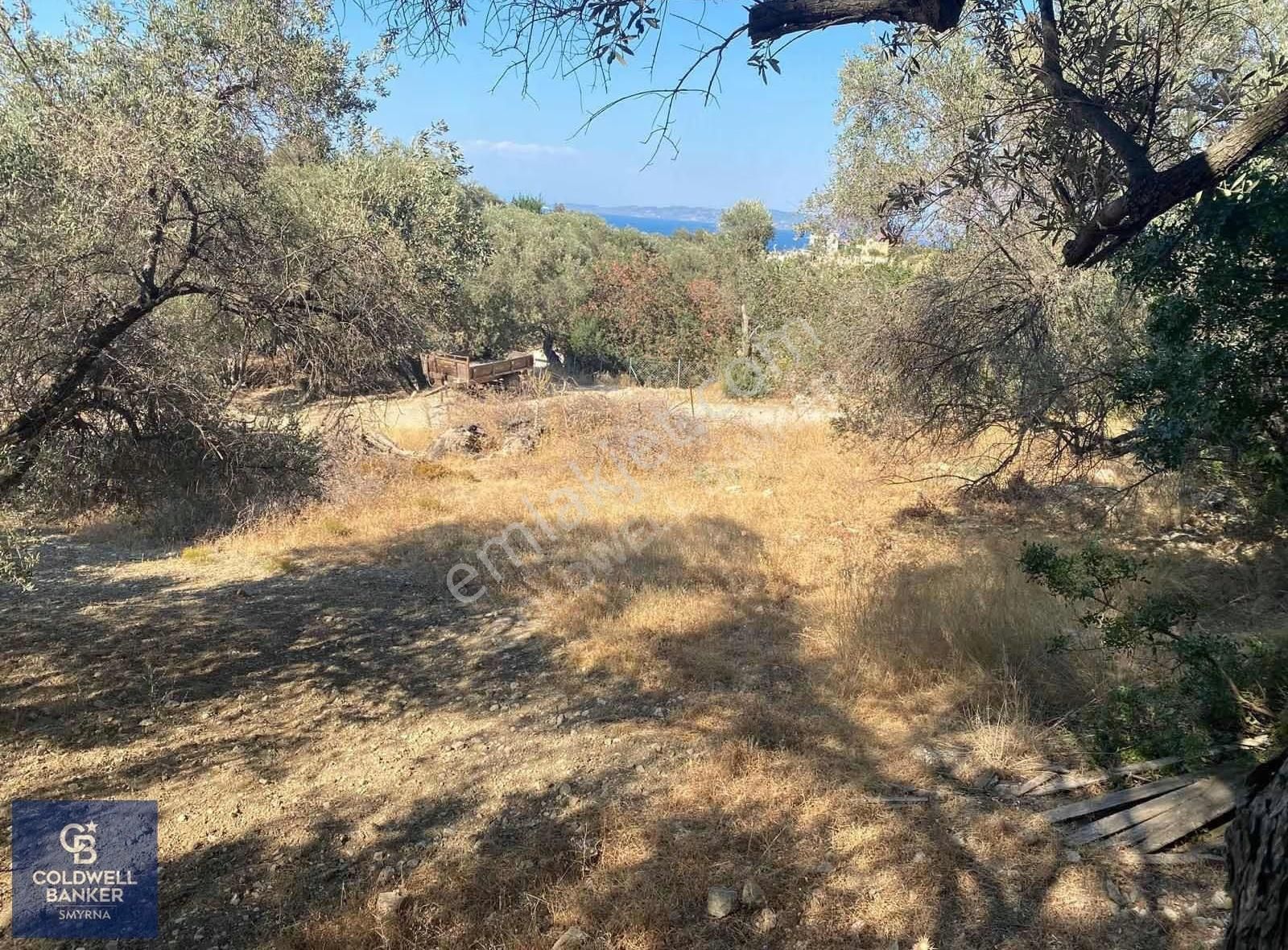 Eğlenhoca Köyü 1.033 M2 Satılık Tarla - Görsel 7