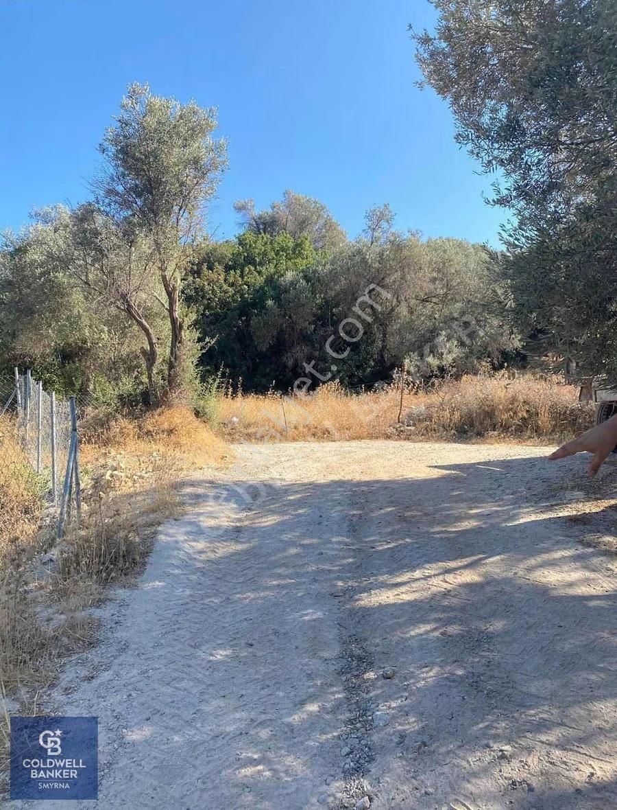 Eğlenhoca Köyü 1.033 M2 Satılık Tarla