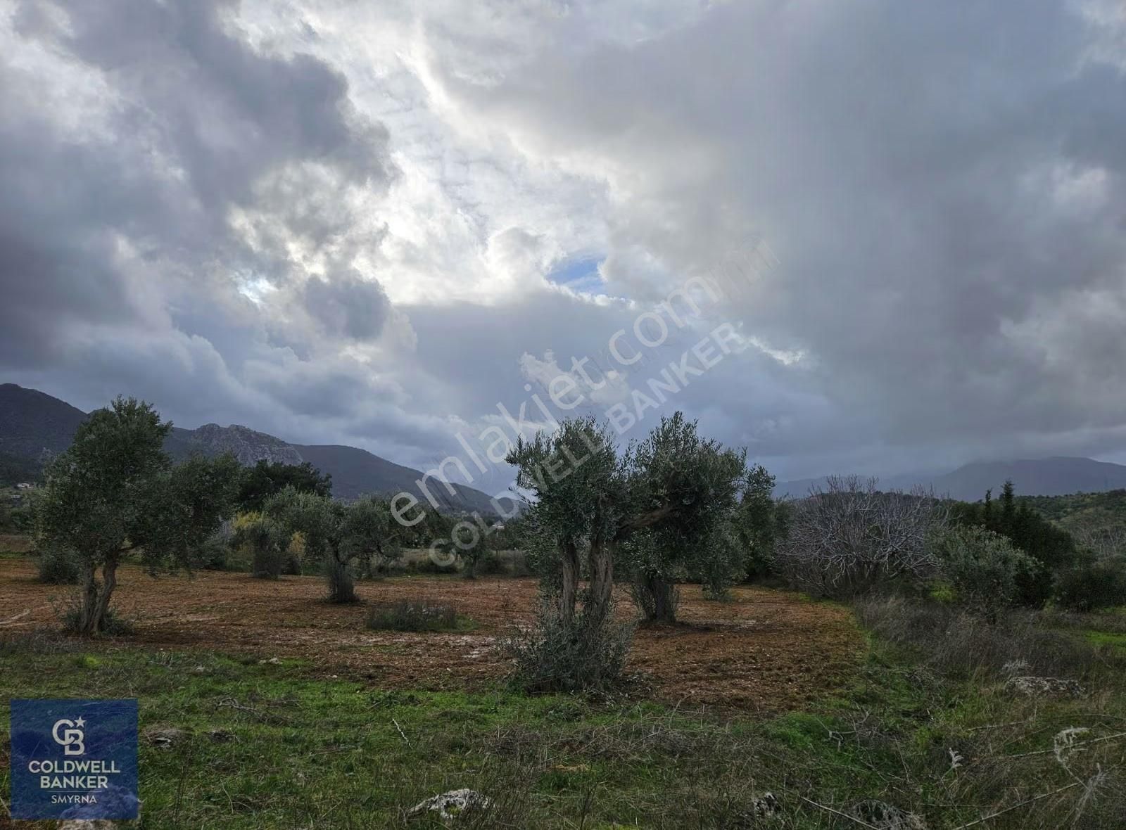 Kemalpaşa Aşağıkızılca'da 19.538 M2 Satılık Tarla - Görsel 22