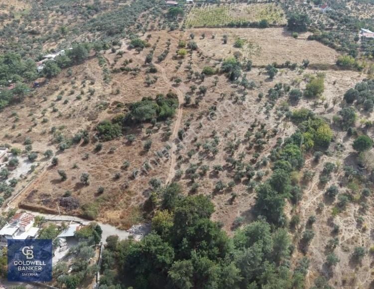 Kemalpaşa Aşağıkızılca'da 19.538 M2 Satılık Tarla - Görsel 15