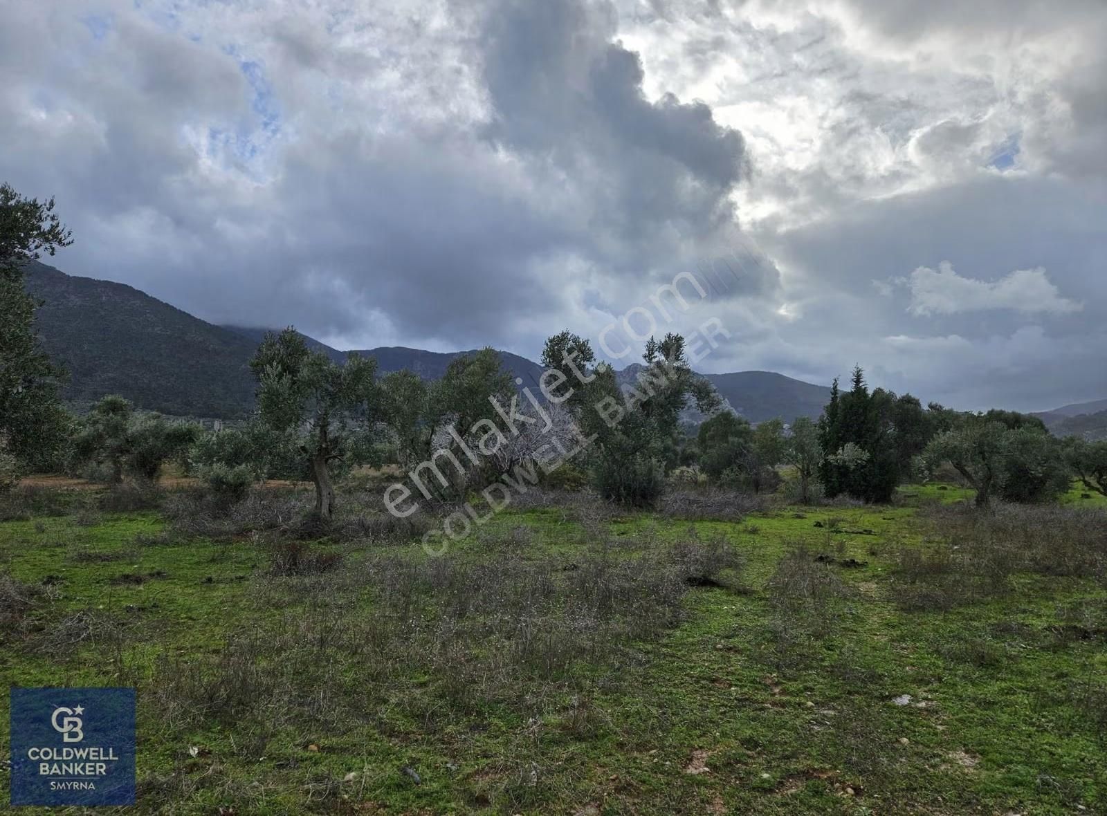 Kemalpaşa Aşağıkızılca'da 19.538 M2 Satılık Tarla - Görsel 6