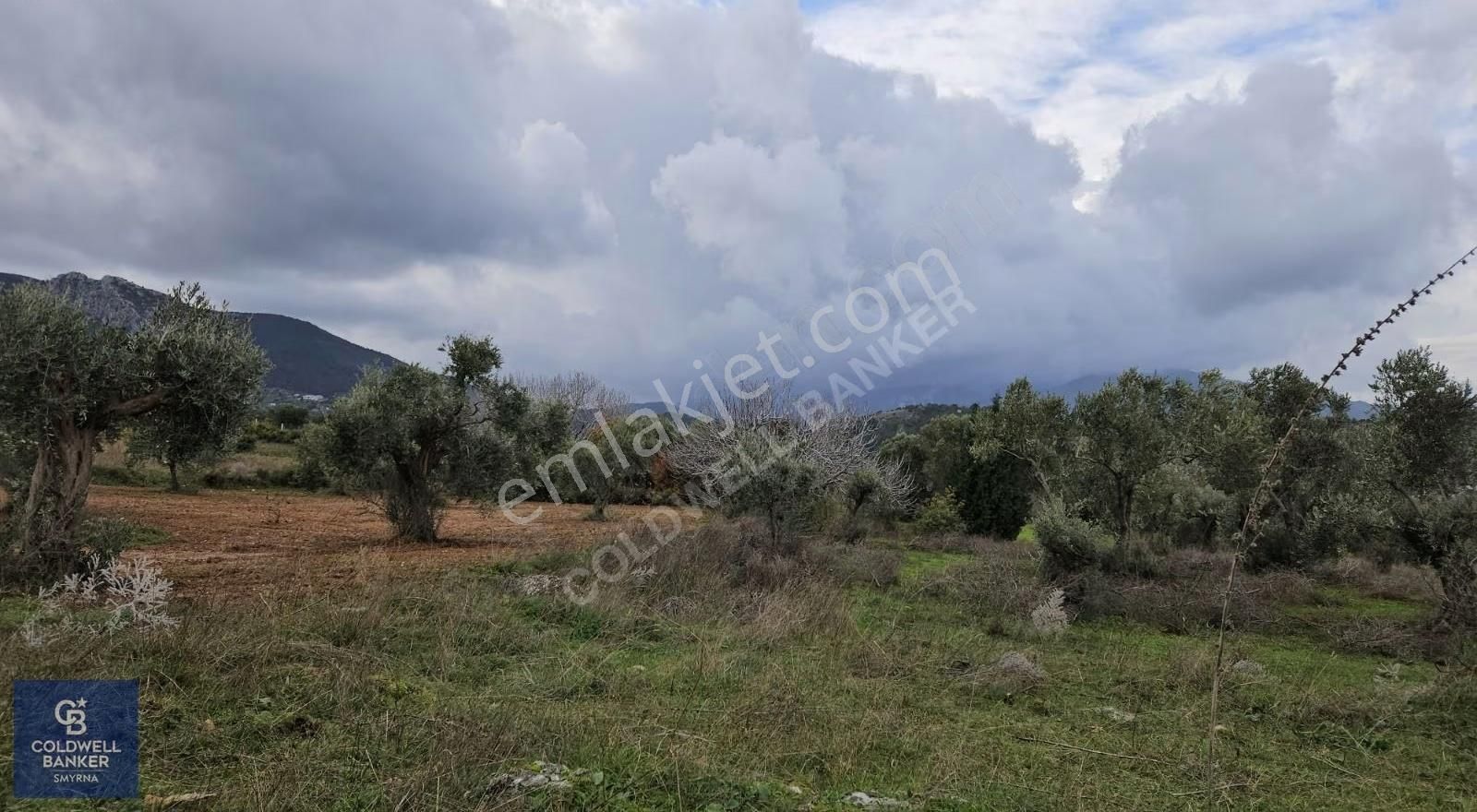 Kemalpaşa Aşağıkızılca'da 19.538 M2 Satılık Tarla - Görsel 5