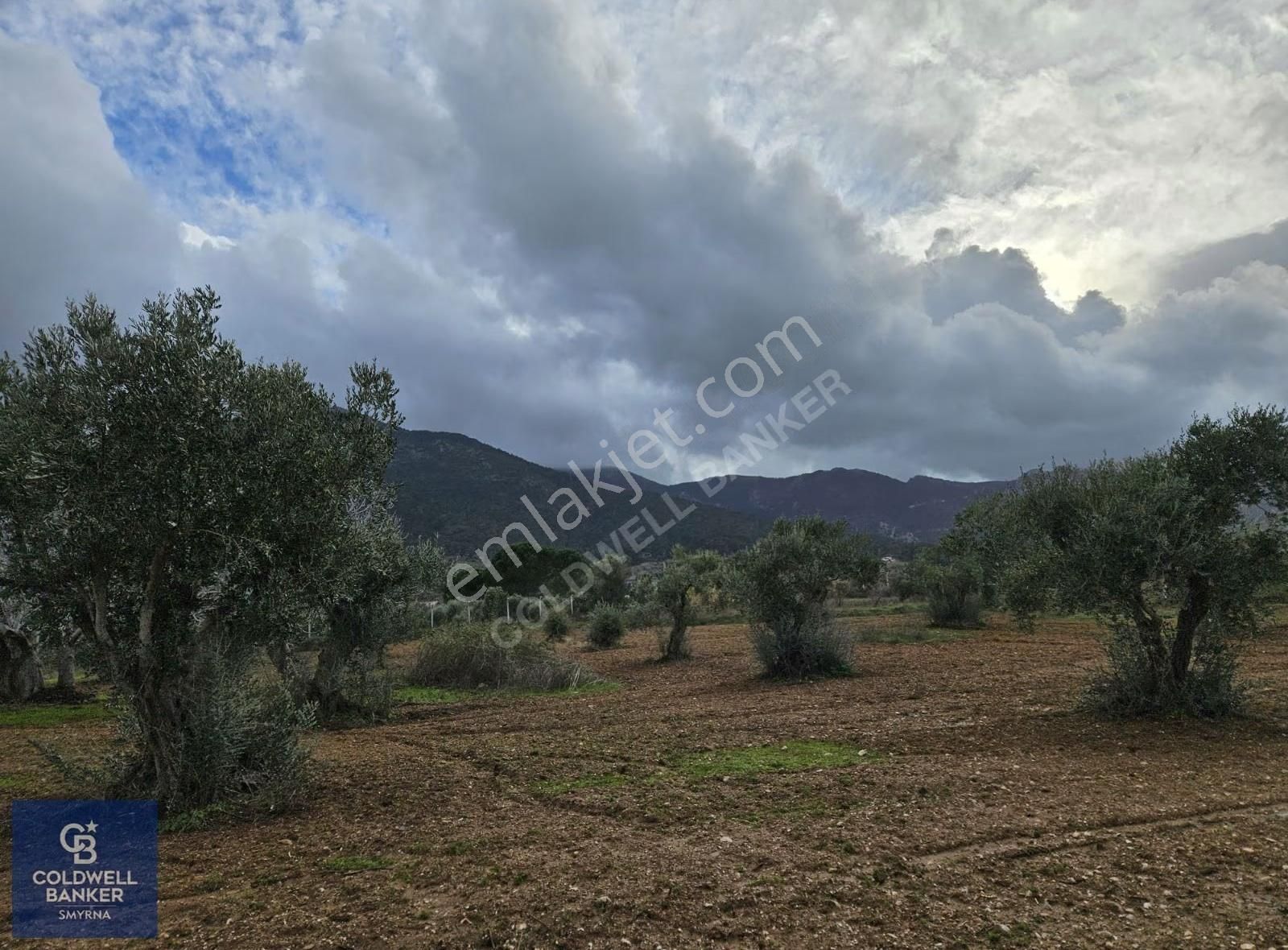 Kemalpaşa Aşağıkızılca'da 19.538 M2 Satılık Tarla - Görsel 9