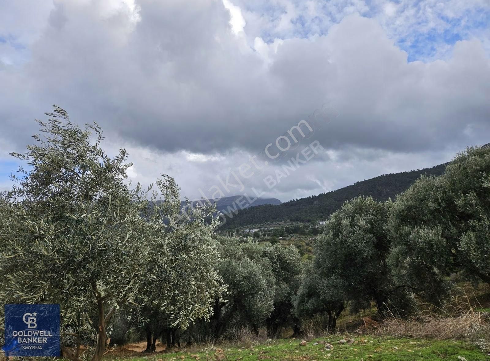 Kemalpaşa Aşağıkızılca'da 19.538 M2 Satılık Tarla - Görsel 7