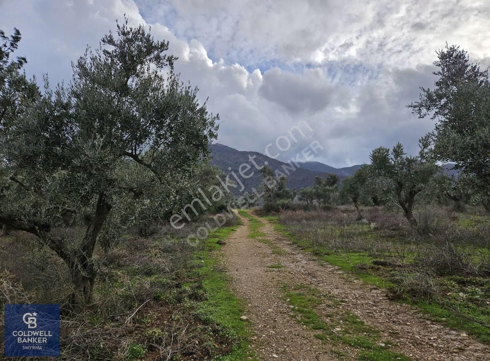 Kemalpaşa Aşağıkızılca'da 19.538 M2 Satılık Tarla - Görsel 25