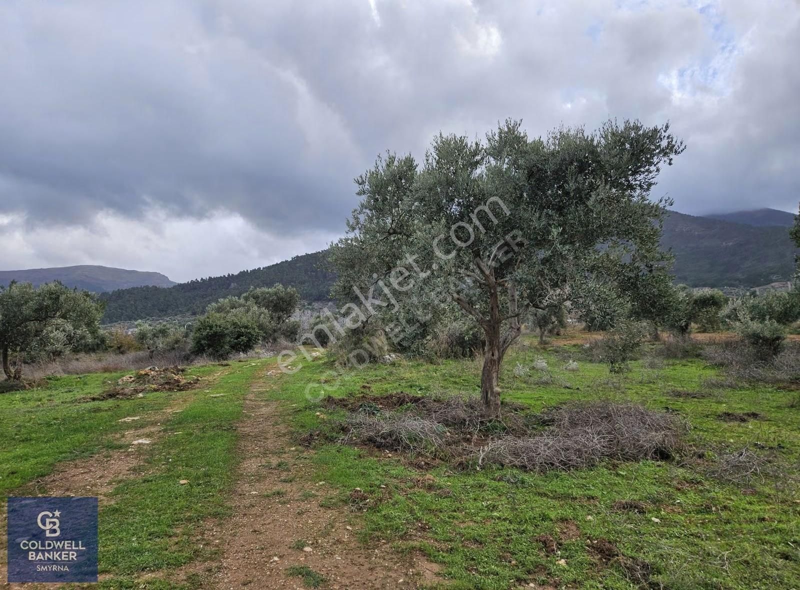 Kemalpaşa Aşağıkızılca'da 6.594 M2 Satılık Tarla - Görsel 28