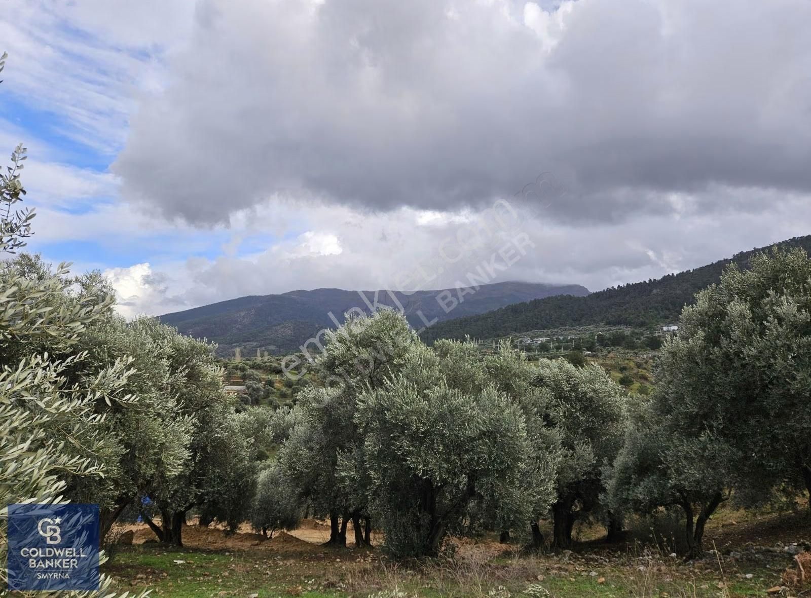 Kemalpaşa Aşağıkızılca'da 6.594 M2 Satılık Tarla - Görsel 11