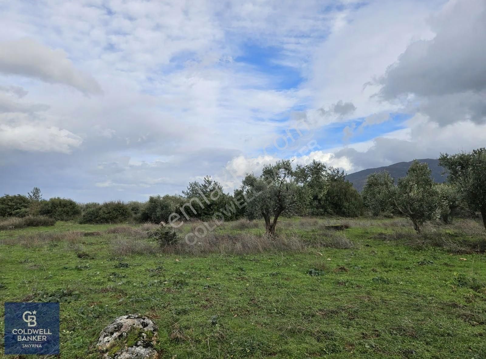 Kemalpaşa Aşağıkızılca'da 6.594 M2 Satılık Tarla - Görsel 17