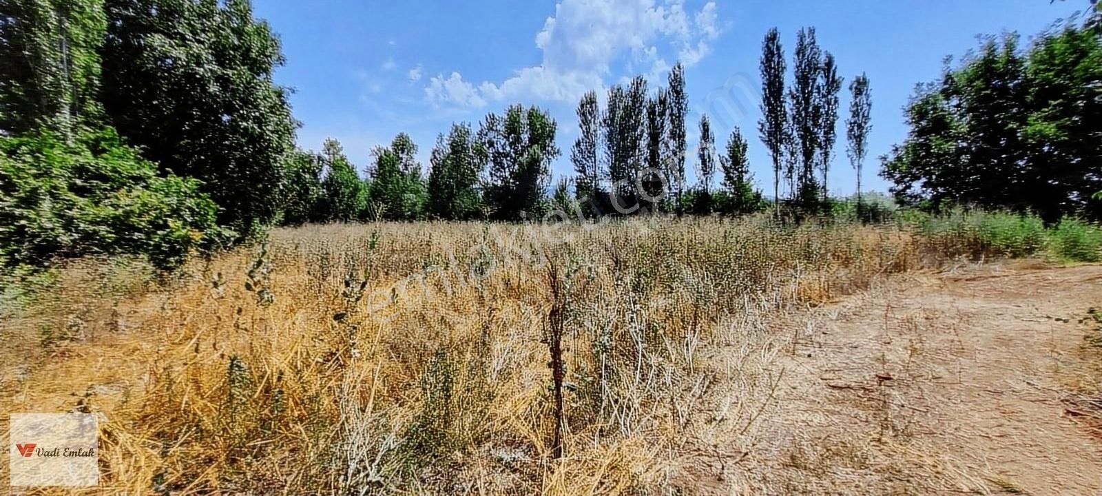 Vadi Emlak'tan Çerçi Köyü'nde Satılık 4,160 M² Tarla - Görsel 6