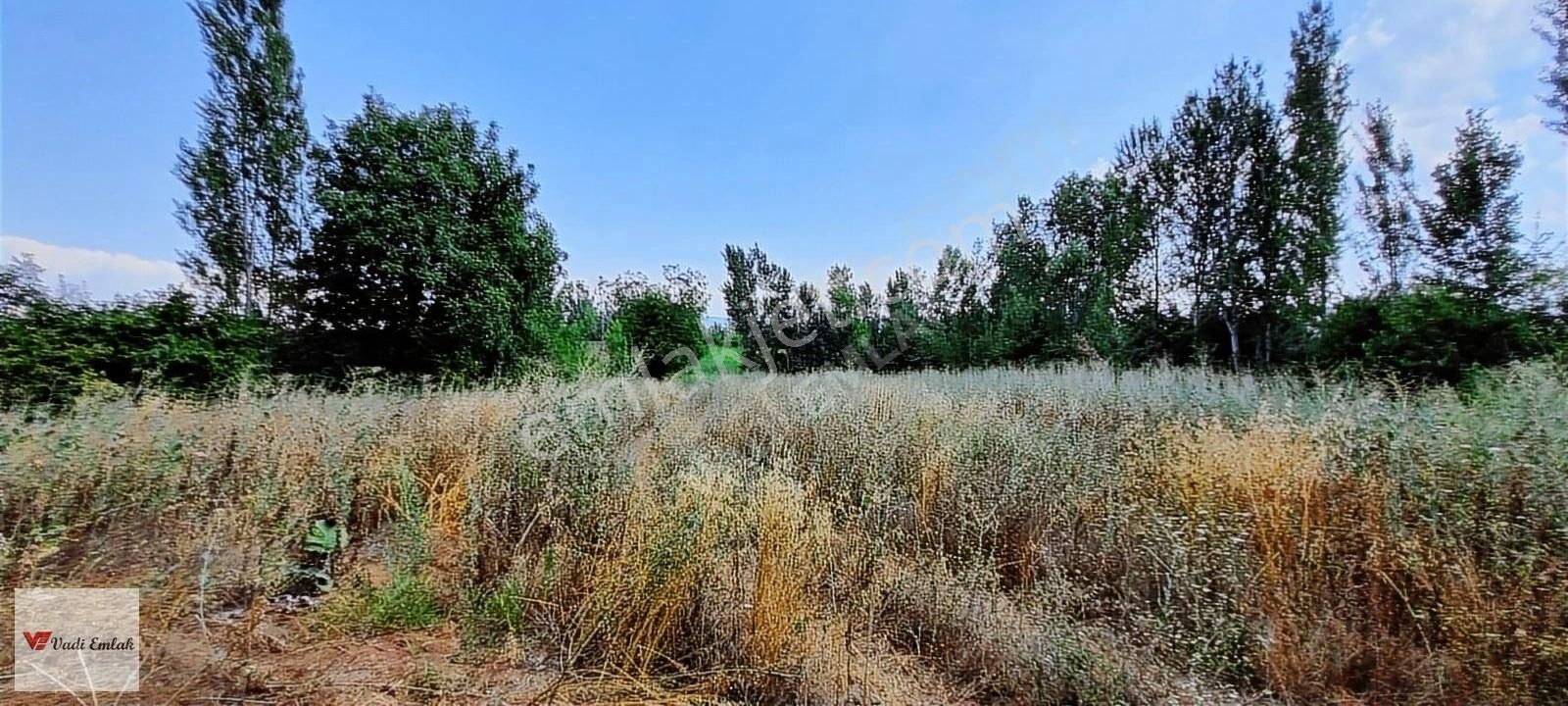 Vadi Emlak'tan Çerçi Köyü'nde Satılık 4,160 M² Tarla - Görsel 15