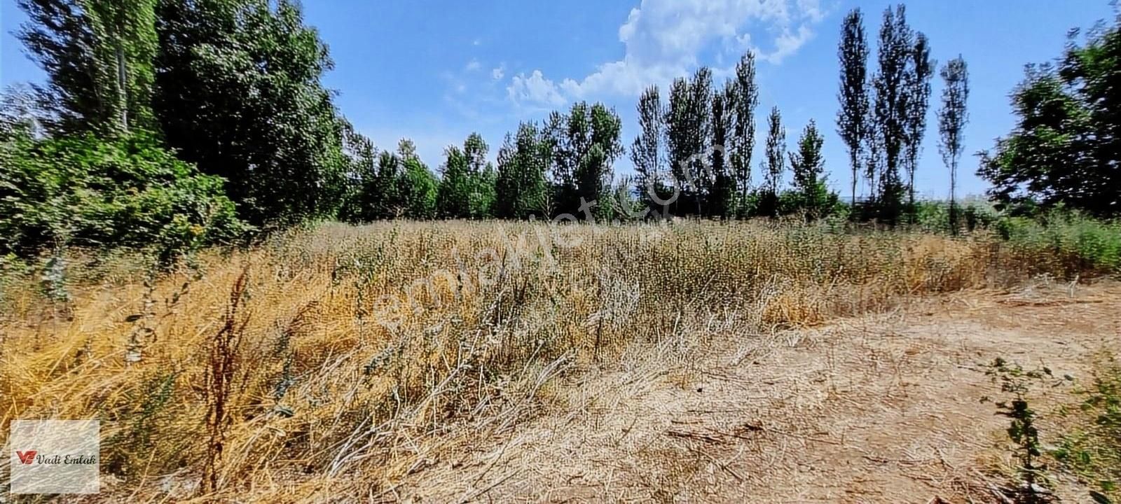 Vadi Emlak'tan Çerçi Köyü'nde Satılık 4,160 M² Tarla - Görsel 10