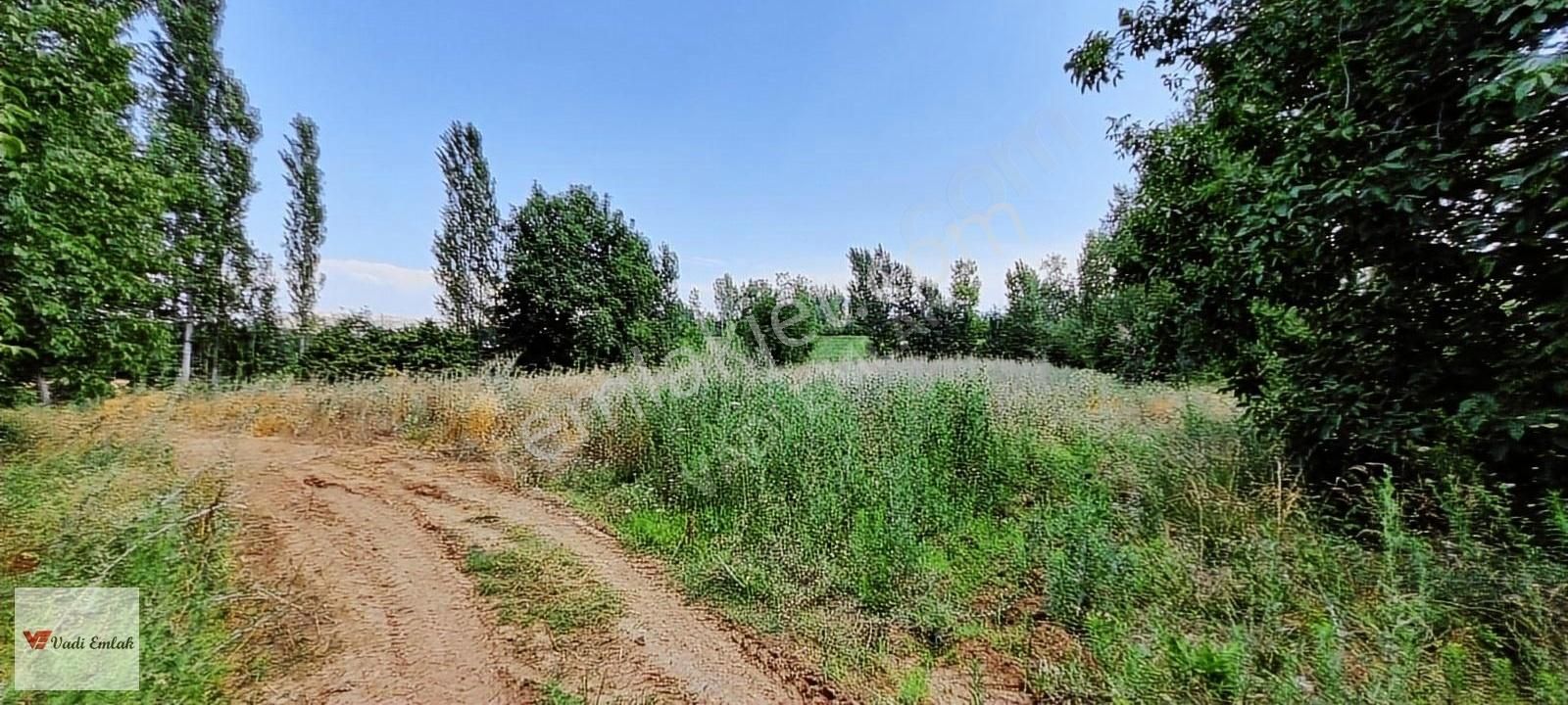 Vadi Emlak'tan Çerçi Köyü'nde Satılık 4,160 M² Tarla - Görsel 5
