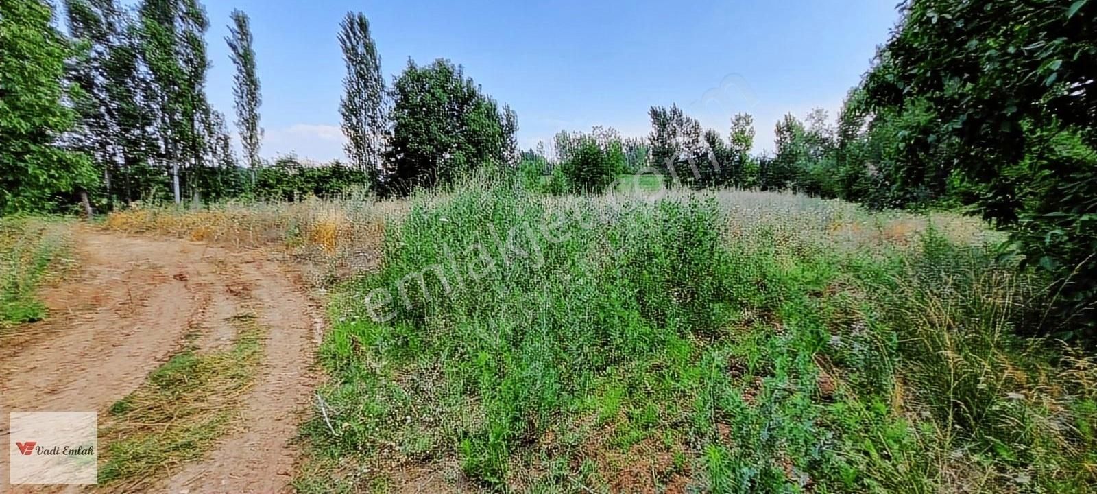 Vadi Emlak'tan Çerçi Köyü'nde Satılık 4,160 M² Tarla - Görsel 8