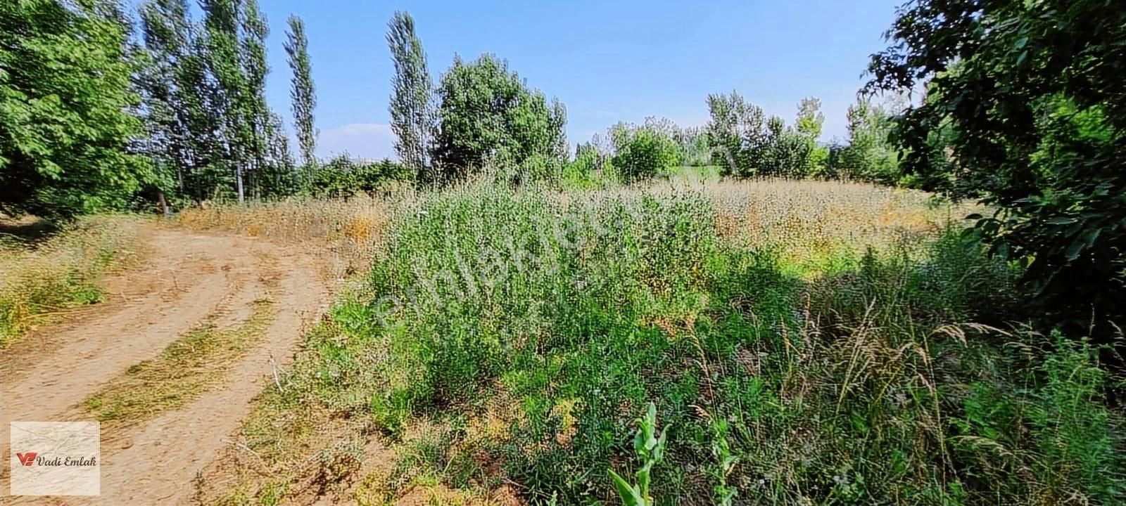 Vadi Emlak'tan Çerçi Köyü'nde Satılık 4,160 M² Tarla - Görsel 4