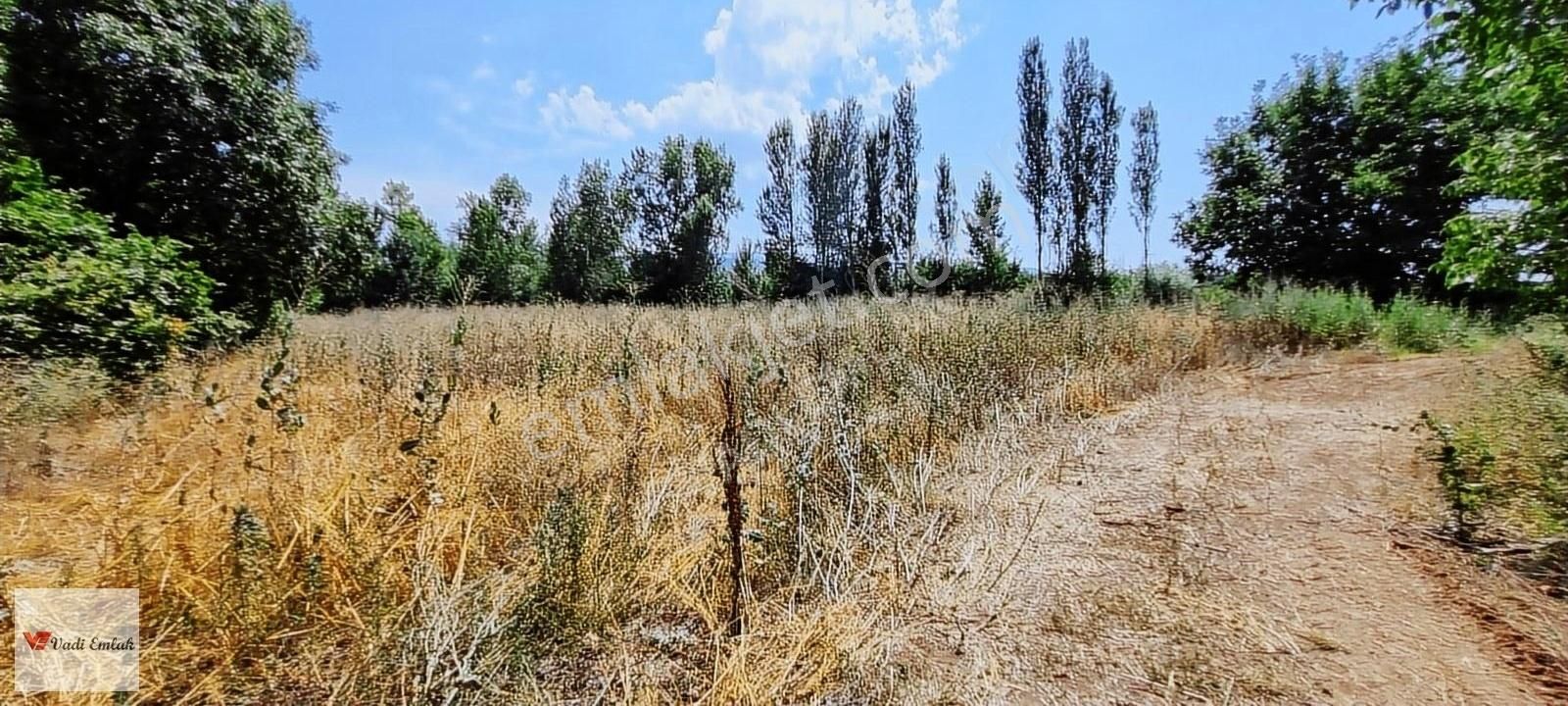 Vadi Emlak'tan Çerçi Köyü'nde Satılık 4,160 M² Tarla - Görsel 11