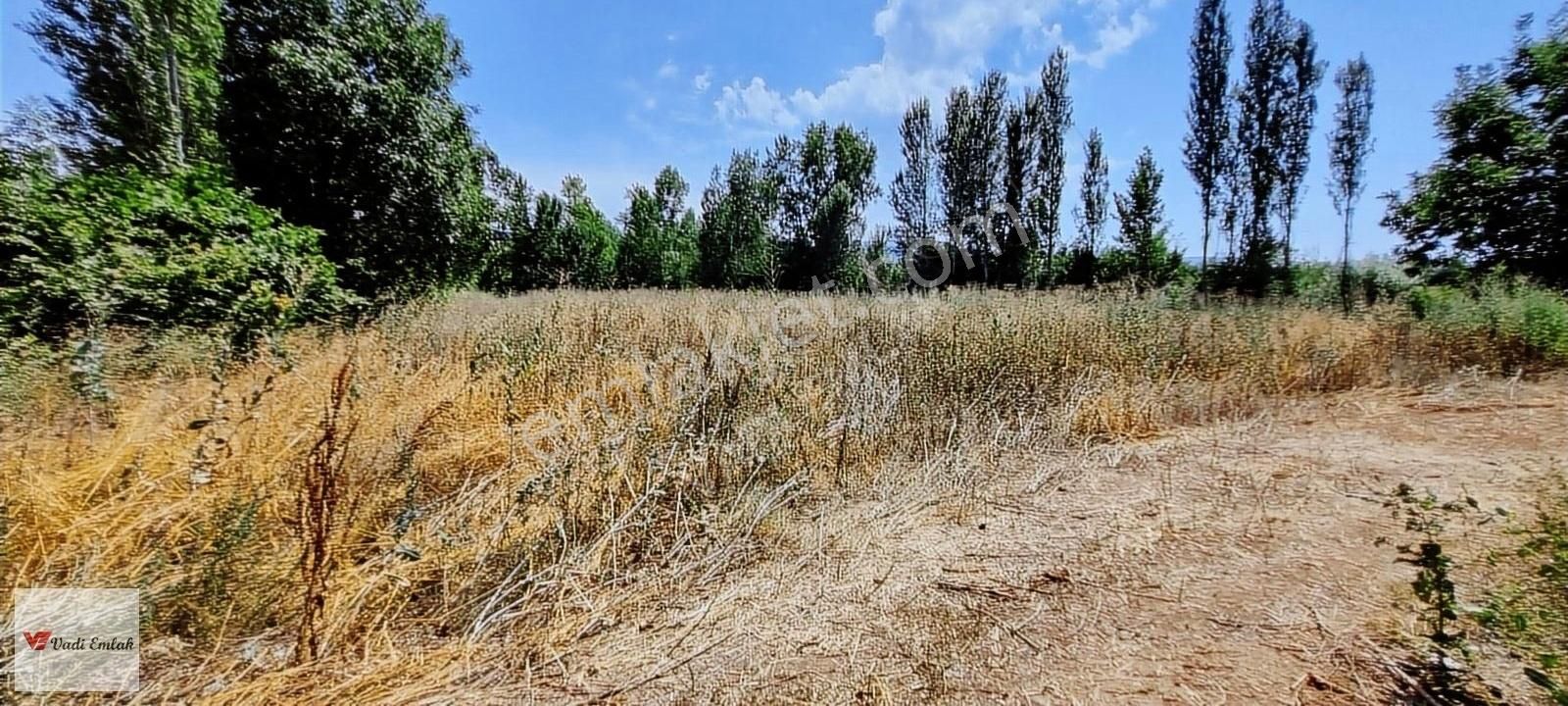 Vadi Emlak'tan Çerçi Köyü'nde Satılık 4,160 M² Tarla - Görsel 9