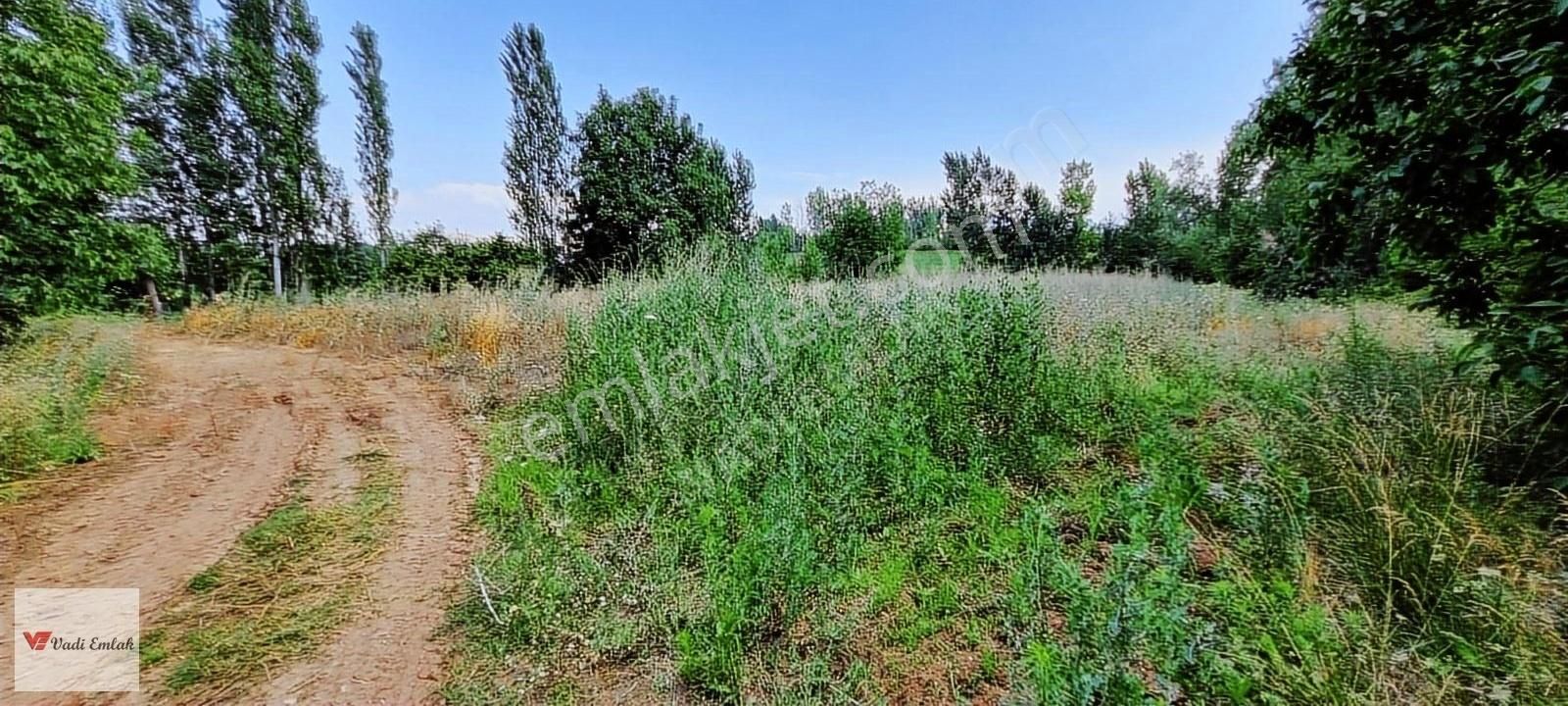 Vadi Emlak'tan Çerçi Köyü'nde Satılık 4,160 M² Tarla - Görsel 2