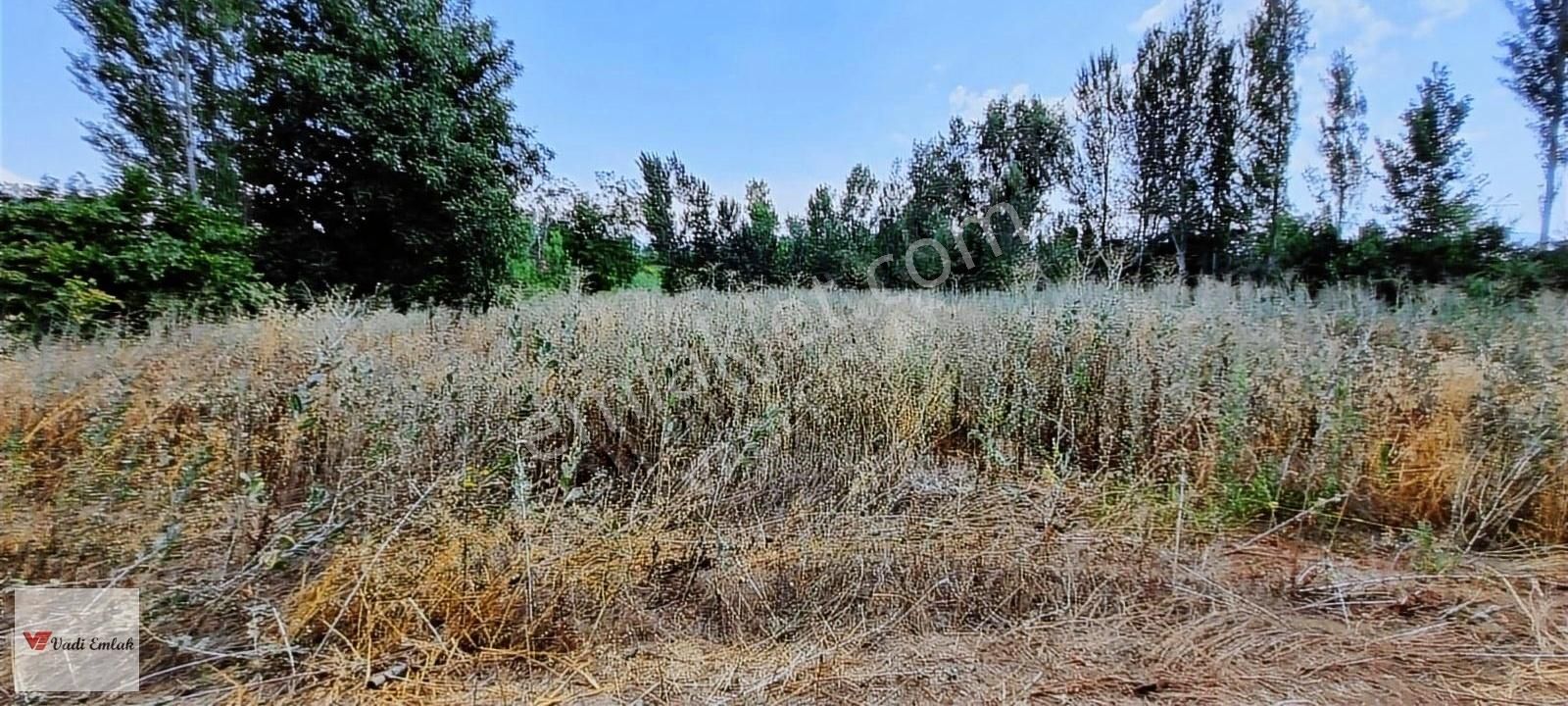 Vadi Emlak'tan Çerçi Köyü'nde Satılık 4,160 M² Tarla - Görsel 7