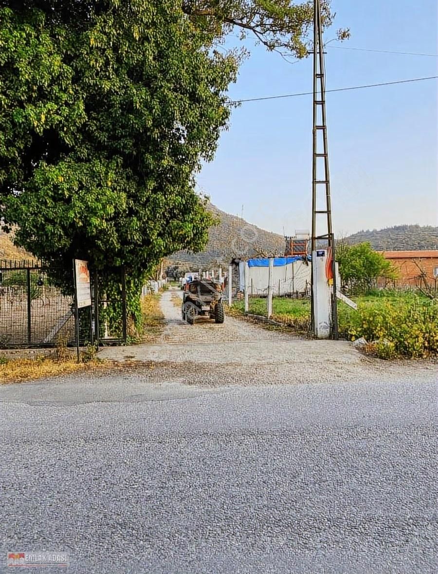 Kusadasının Ekolojık Doga Harıkası Koyunde Yol Uzerı Arazı - Görsel 5