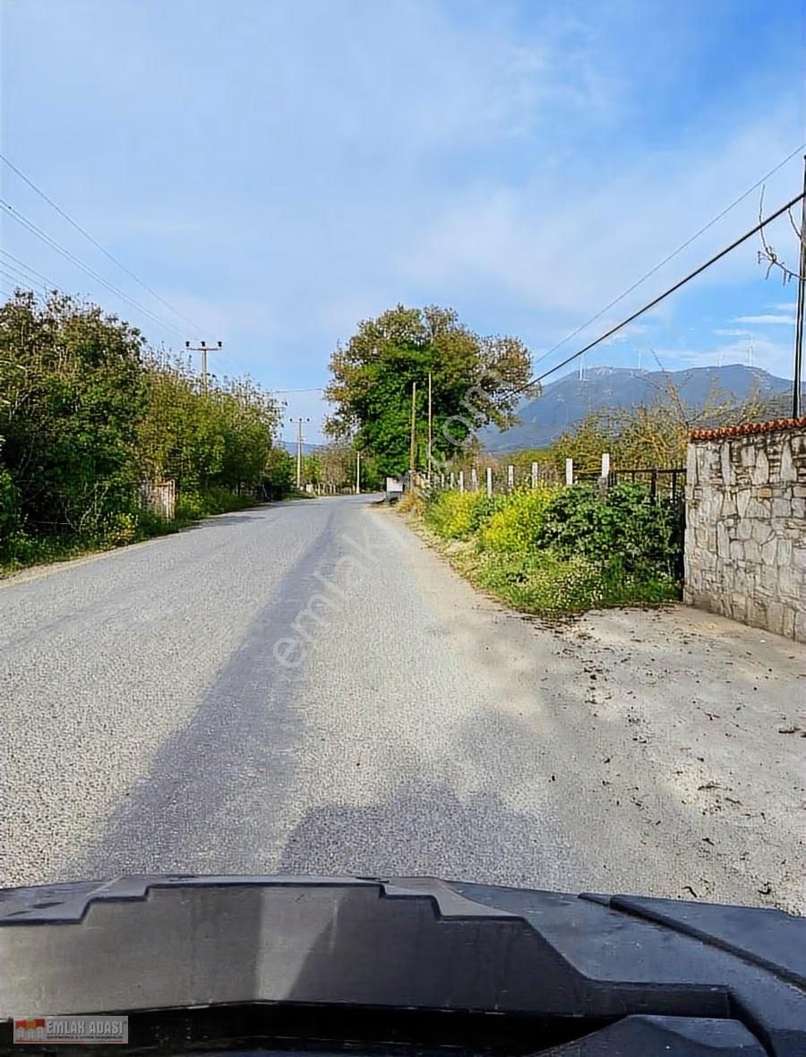 Kusadasının Ekolojık Doga Harıkası Koyunde Yol Uzerı Arazı - Görsel 3
