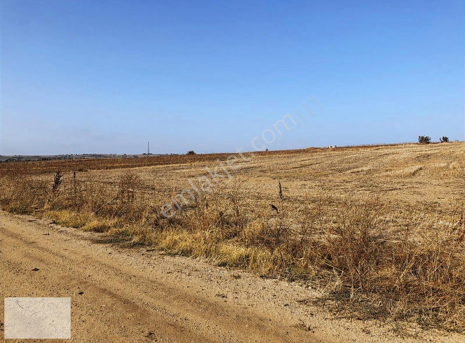 Edirne Uzunköpü Değirmenci Köyünde 1711 M2 Arsa - Görsel 6