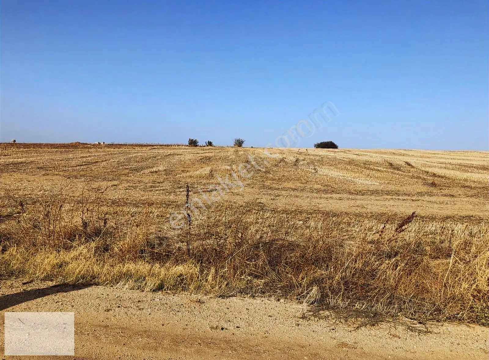 Edirne Uzunköpü Değirmenci Köyünde 1711 M2 Arsa - Görsel 3