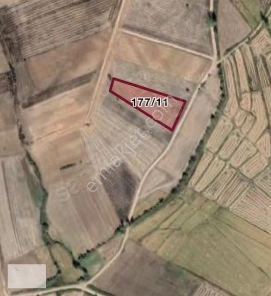 Edirne Uzunköpü Değirmenci Köyünde 1711 M2 Arsa - Görsel 8