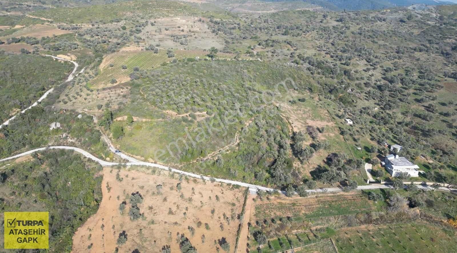 Menderes Çatalca'da Satılık Tarla - Görsel 5