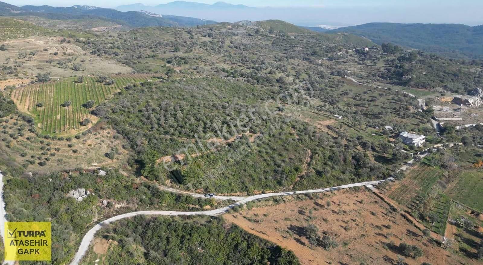 Menderes Çatalca'da Satılık Tarla - Görsel 3