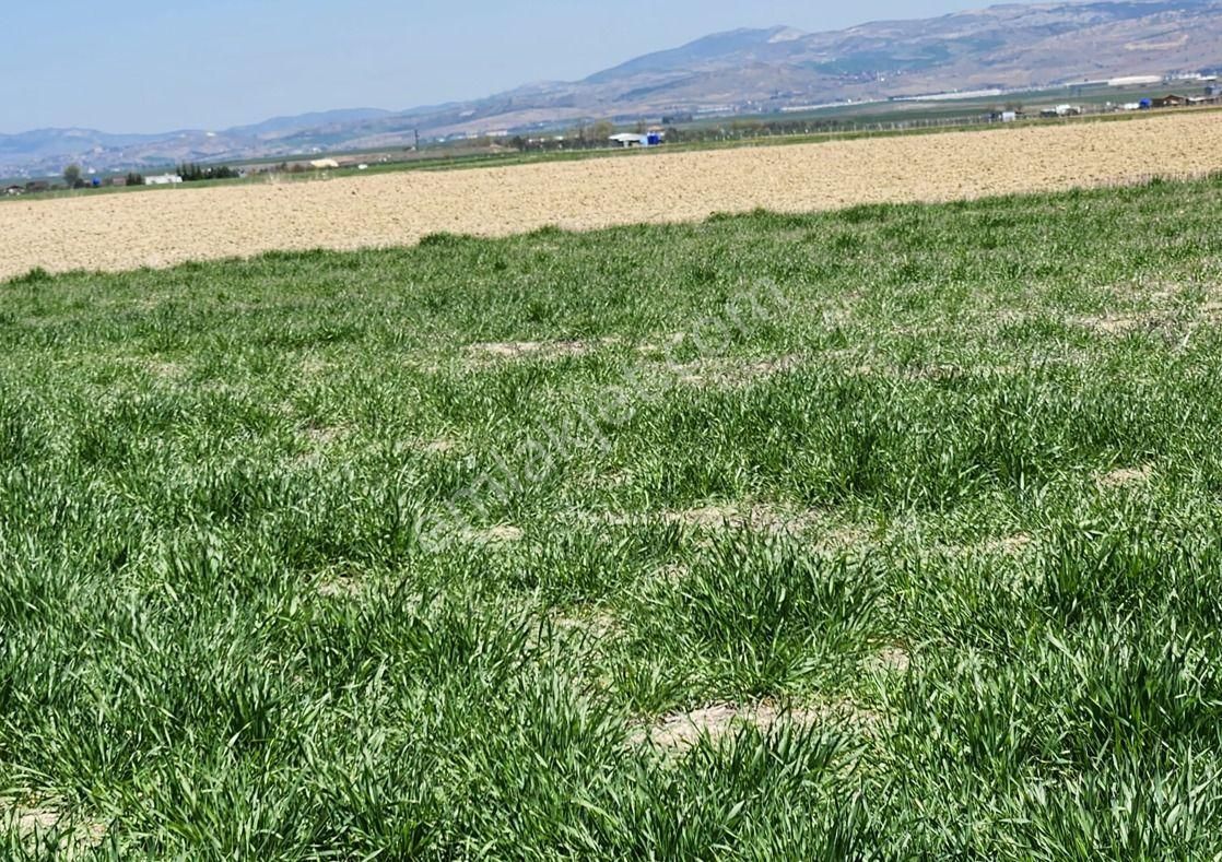 Sincan Yenikent Mülk Köyü Tek Tapu Satılık Arsa - Görsel 7