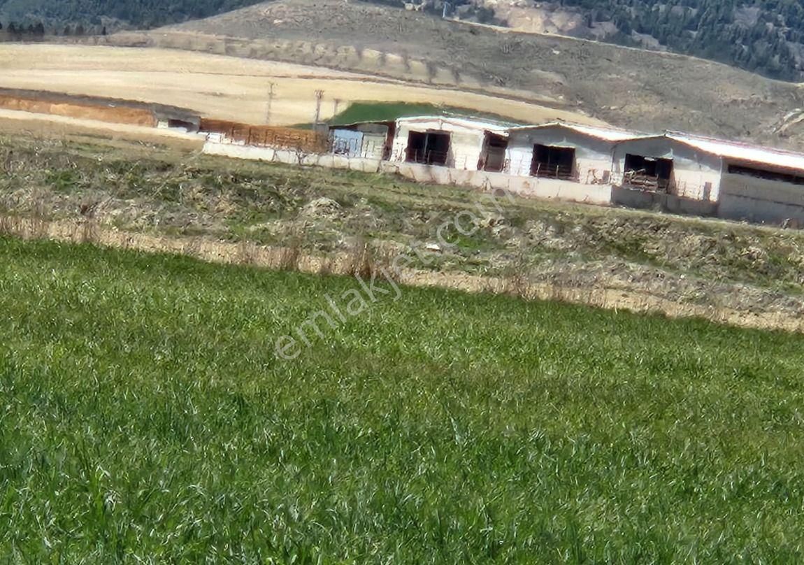 Sincan Yenikent Mülk Köyü Tek Tapu Satılık Arsa - Görsel 4