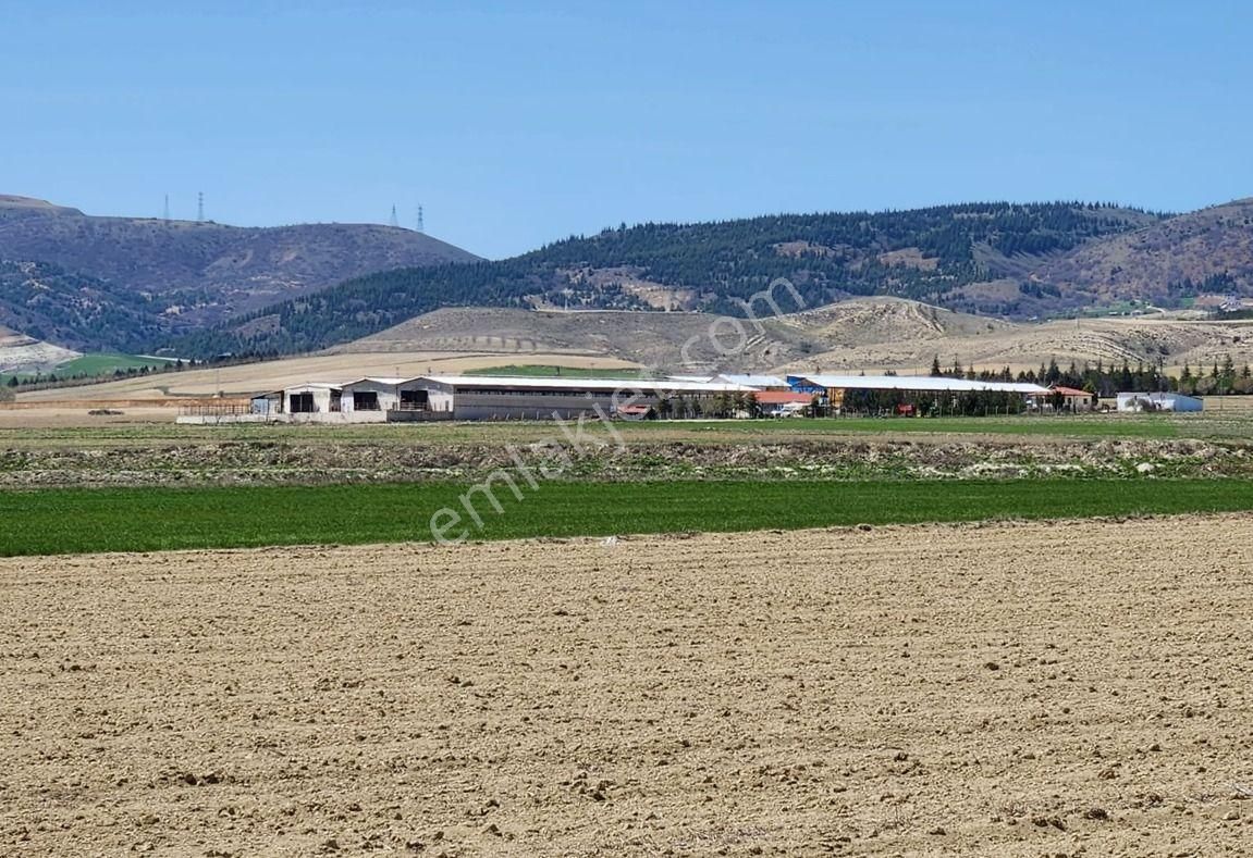 Sincan Yenikent Mülk Köyü Tek Tapu Satılık Arsa - Görsel 5