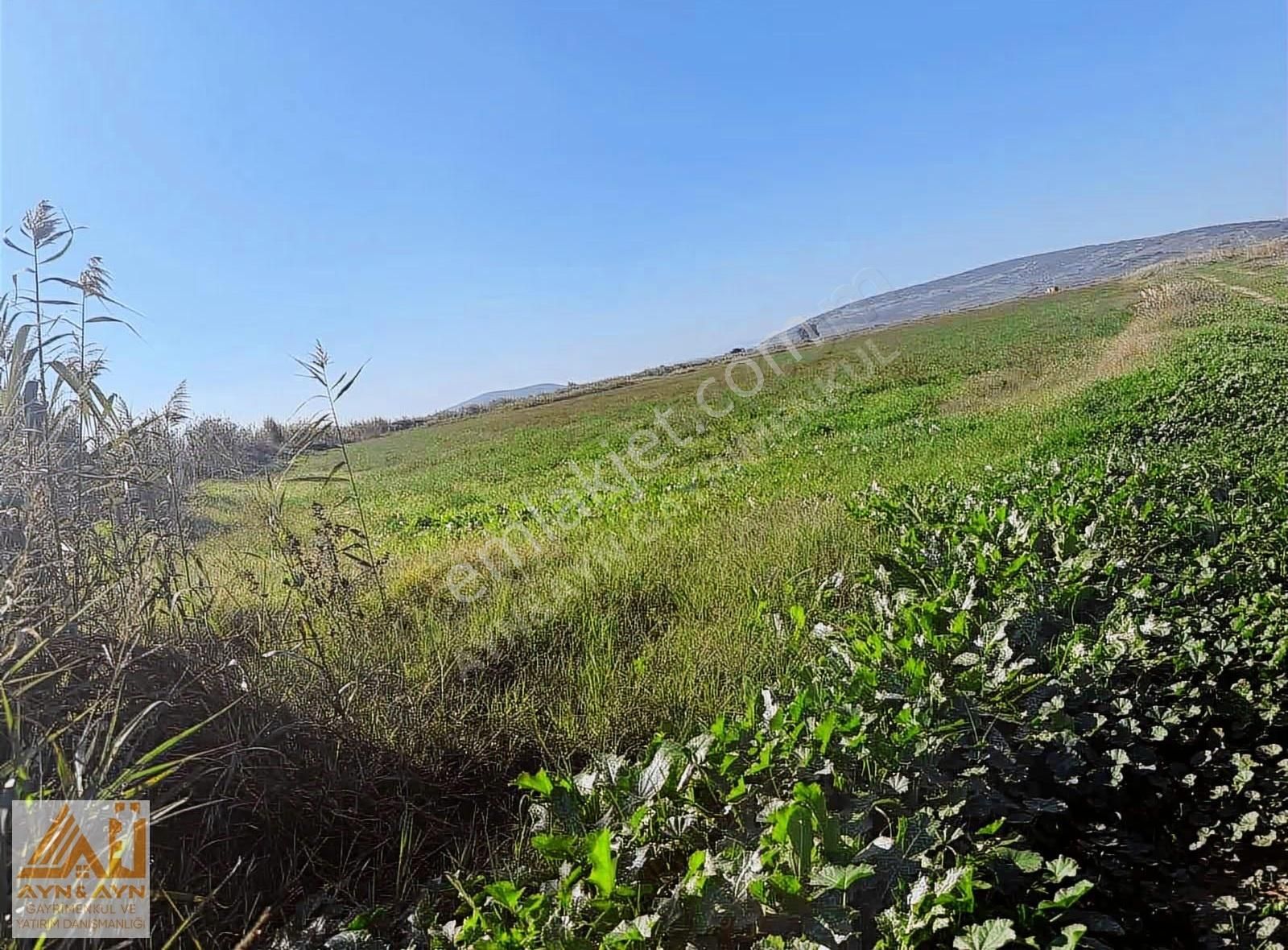 Menemen Seyrek'te Cadde Üzerinde Satılık Tarla - Görsel 10