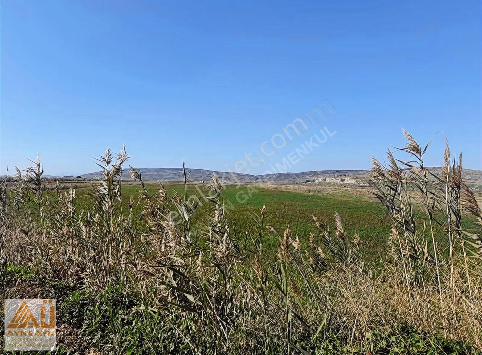 Menemen Seyrek'te Cadde Üzerinde Satılık Tarla - Görsel 5