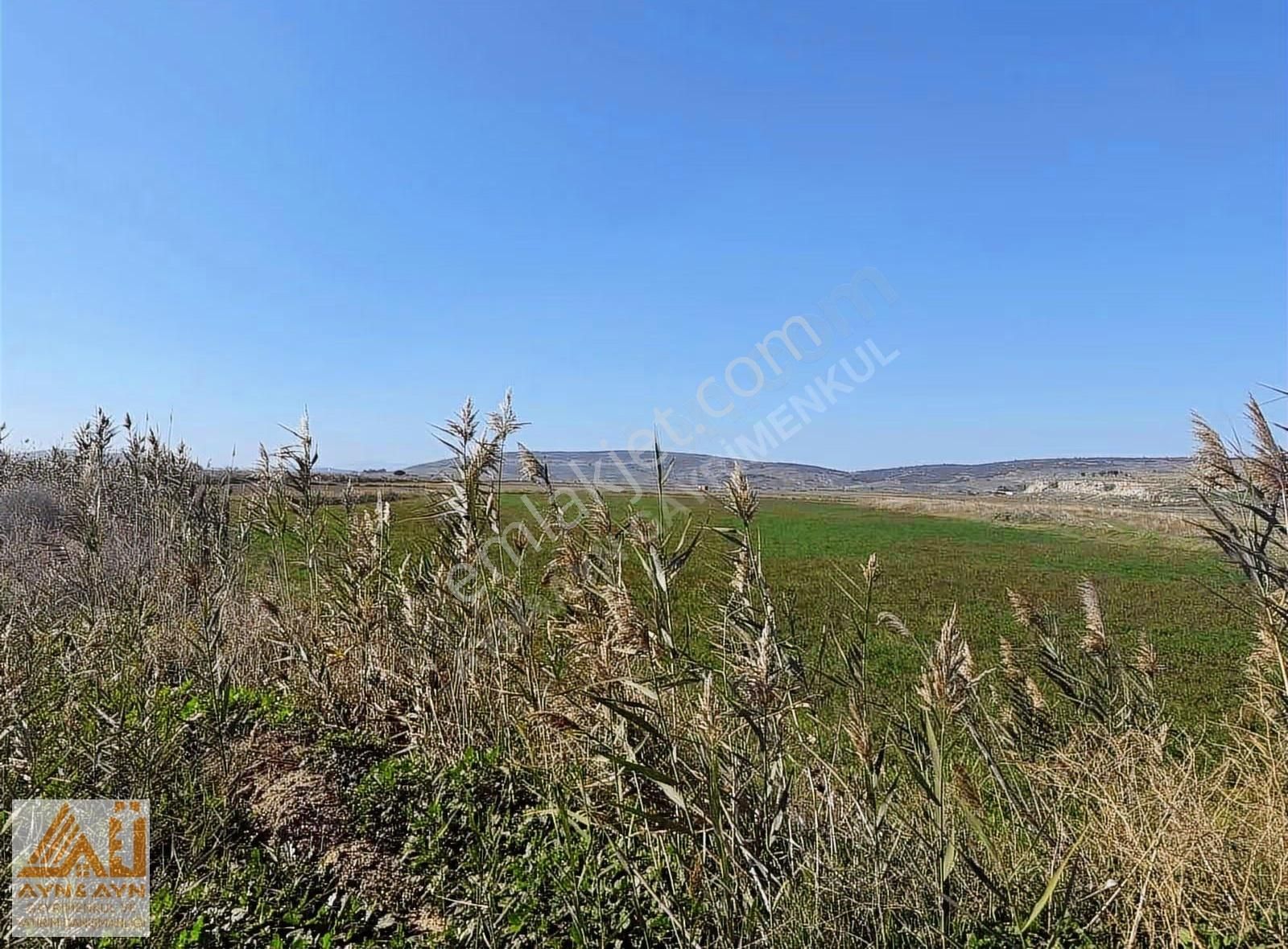 Menemen Seyrek'te Cadde Üzerinde Satılık Tarla - Görsel 2