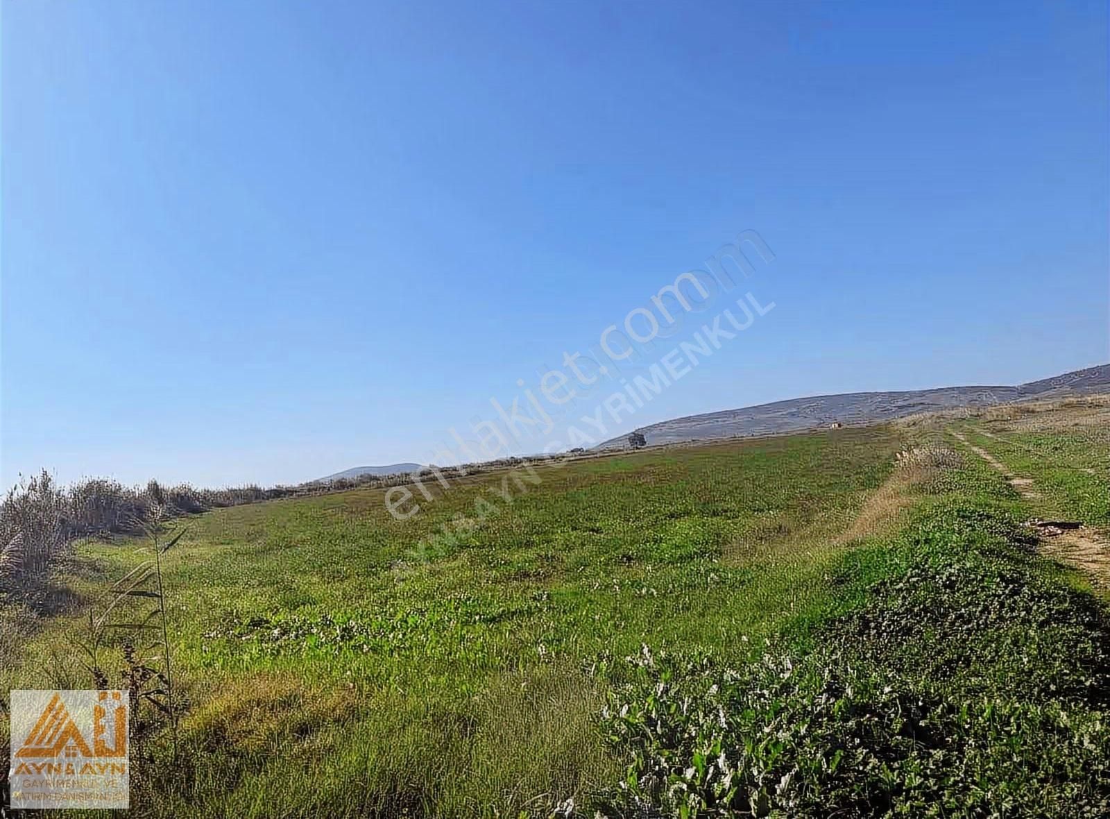 Menemen Seyrek'te Cadde Üzerinde Satılık Tarla - Görsel 12