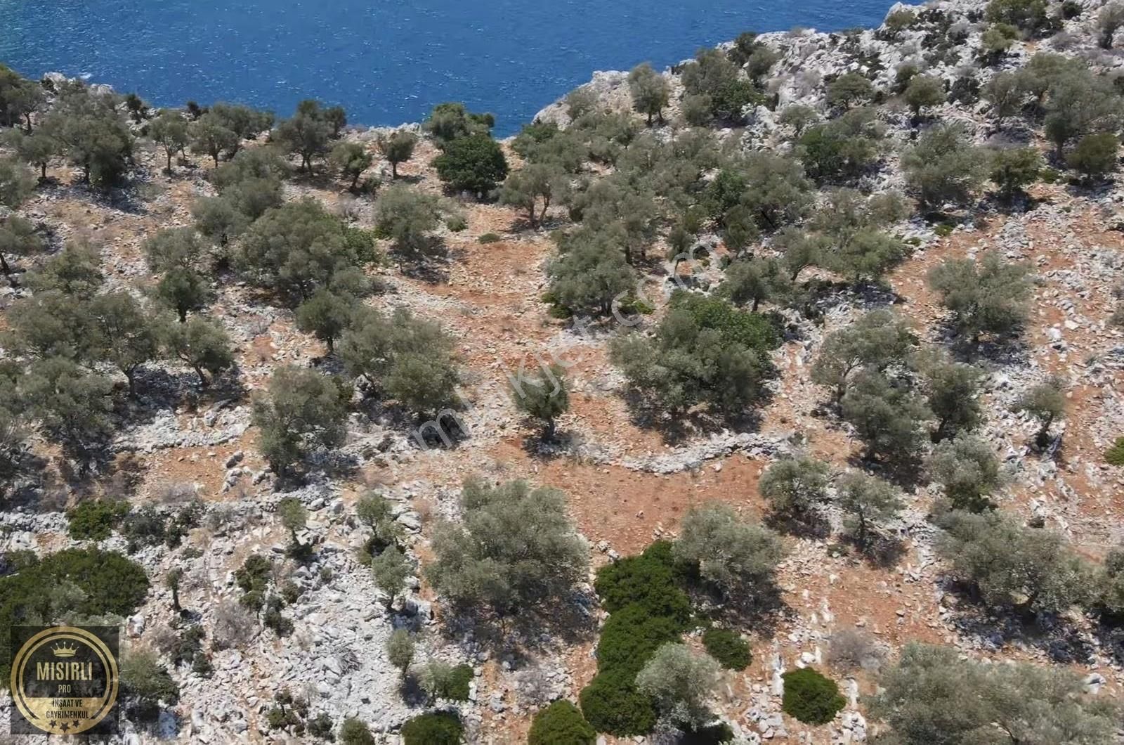 Marmaris Taşlıca Köyünde Full Deniz Manzaralı - Görsel 5