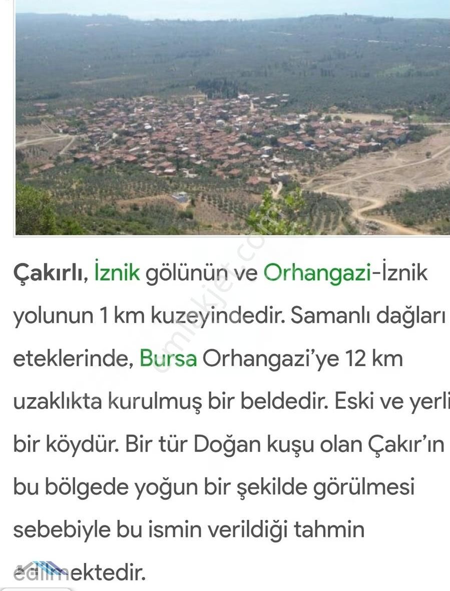Bursa /orhangazi Çakırlıda Satılık Göl Manzaralı Zeytinlik - Görsel 11
