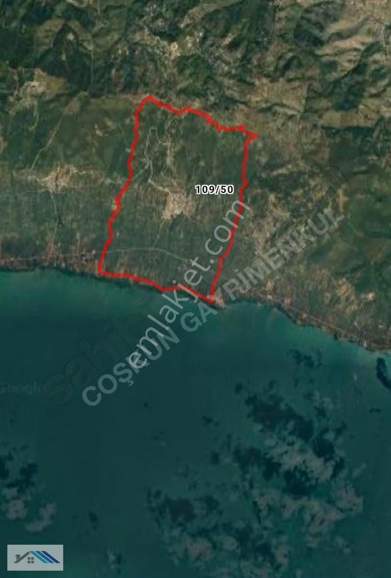 Bursa /orhangazi Çakırlıda Satılık Göl Manzaralı Zeytinlik - Görsel 9