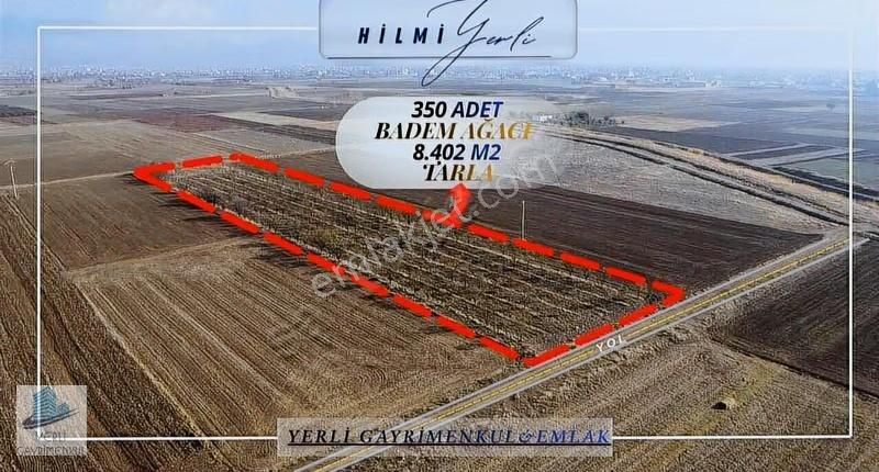 Yerli Gayrimenkul'den Somak Mahallesinde 8.402 M² Badem Tarlası - Görsel 4