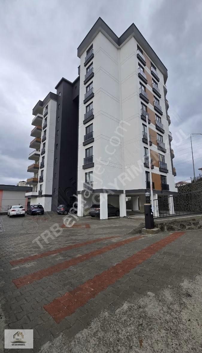 Üniversite Mah. 1+1 4.kat Kiralık Sıfır Daire - Görsel 16