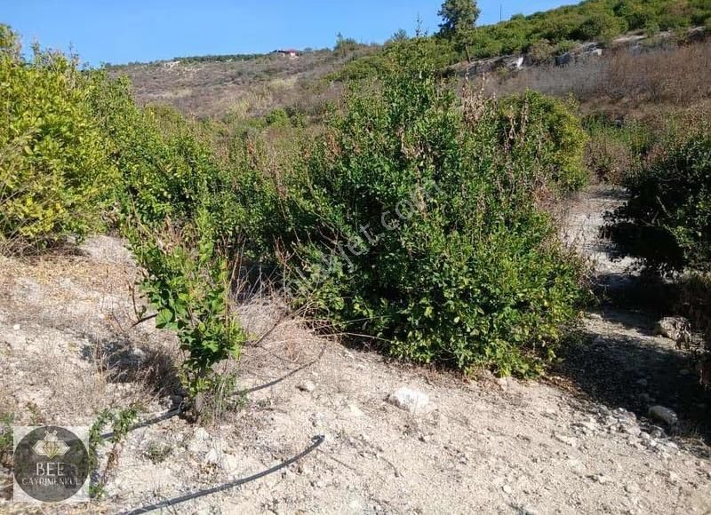 Bee Gayrimenkulden Elvanlı Merkeze Yakın Yatırımlık Kelepir - Görsel 6