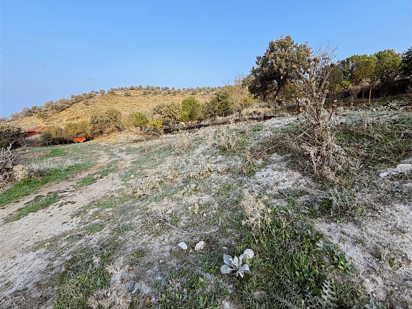 Yamaç Emlaktan Hacıhüseyinlerde İmar Dibi 1531 M² Bahçe - Görsel 8