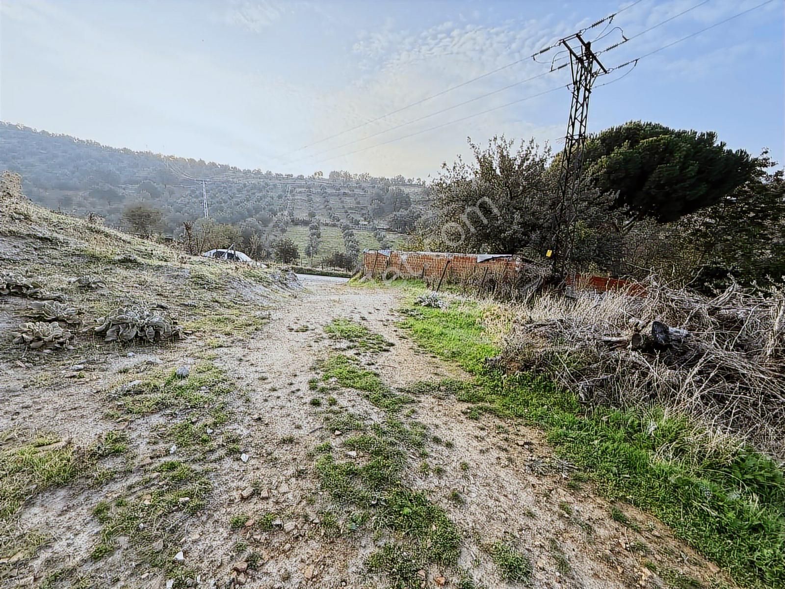 Yamaç Emlaktan Hacıhüseyinlerde İmar Dibi 1531 M² Bahçe - Görsel 4