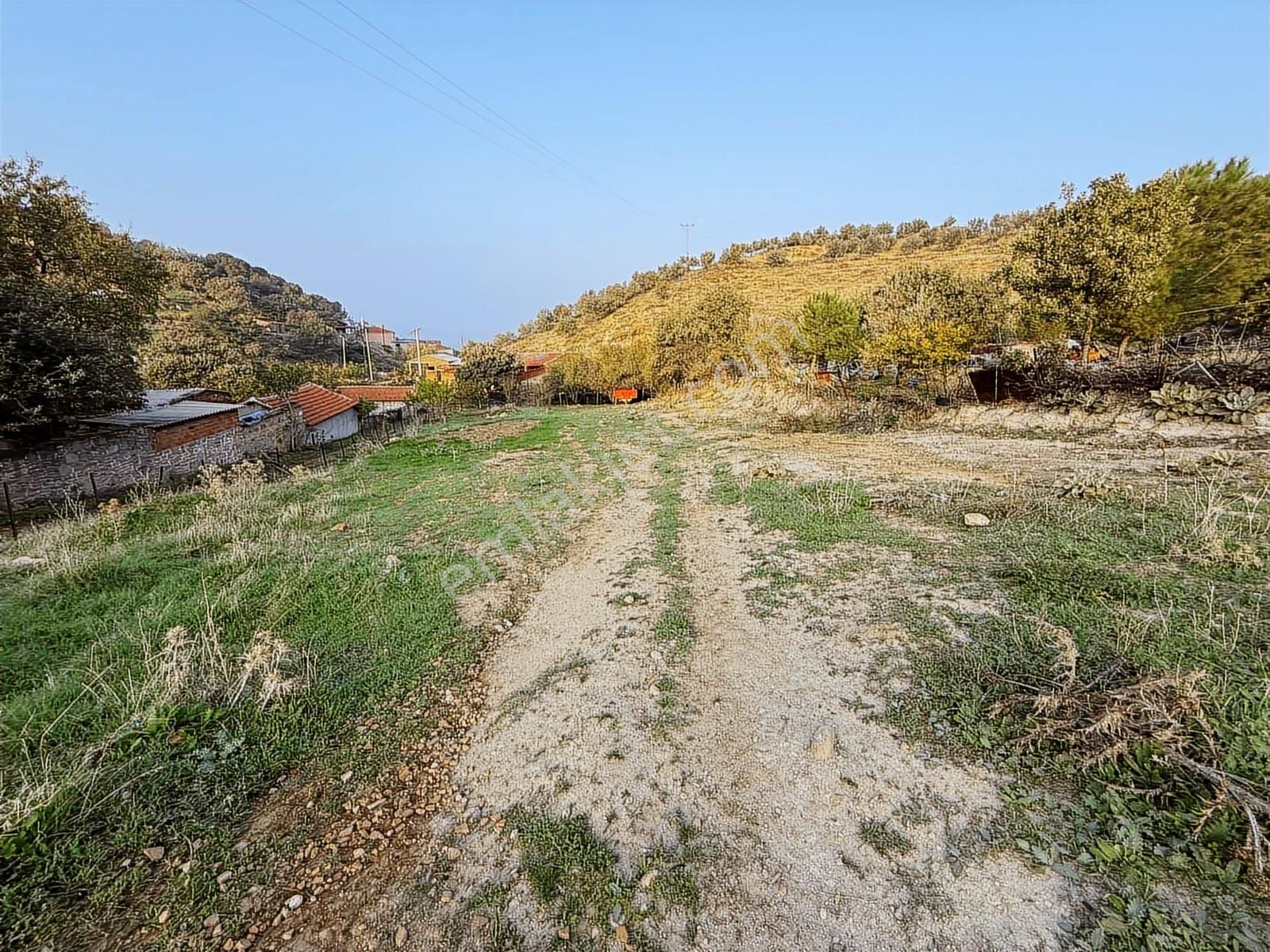 Yamaç Emlaktan Hacıhüseyinlerde İmar Dibi 1531 M² Bahçe - Görsel 5