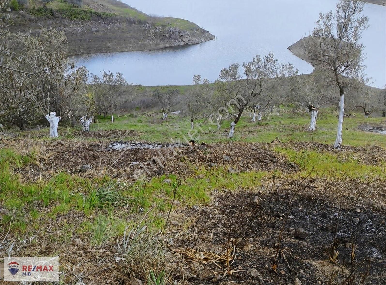 Havran Sarnıç Mah. Baraj Manzaralı 1827 M2 Satılık Zeytinlik - Görsel 20