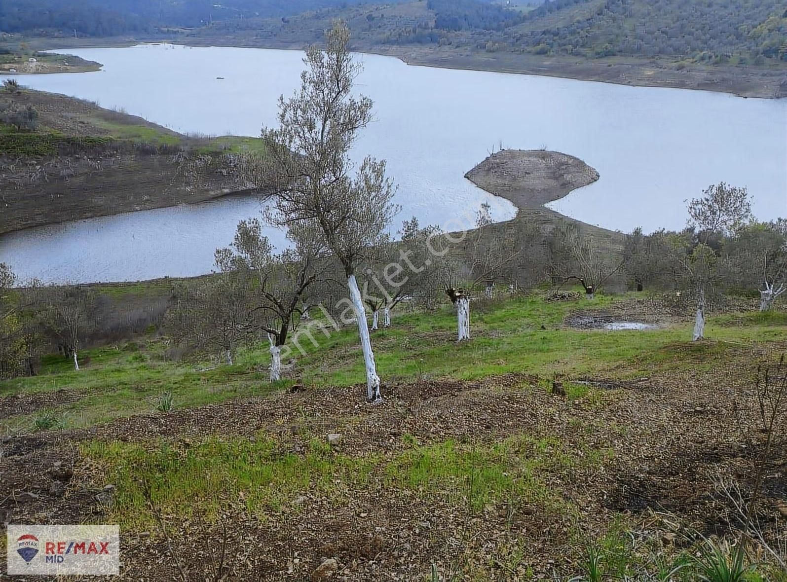 Havran Sarnıç Mah. Baraj Manzaralı 1827 M2 Satılık Zeytinlik - Görsel 2